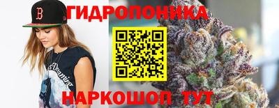 PSILOCYBIN Кимры