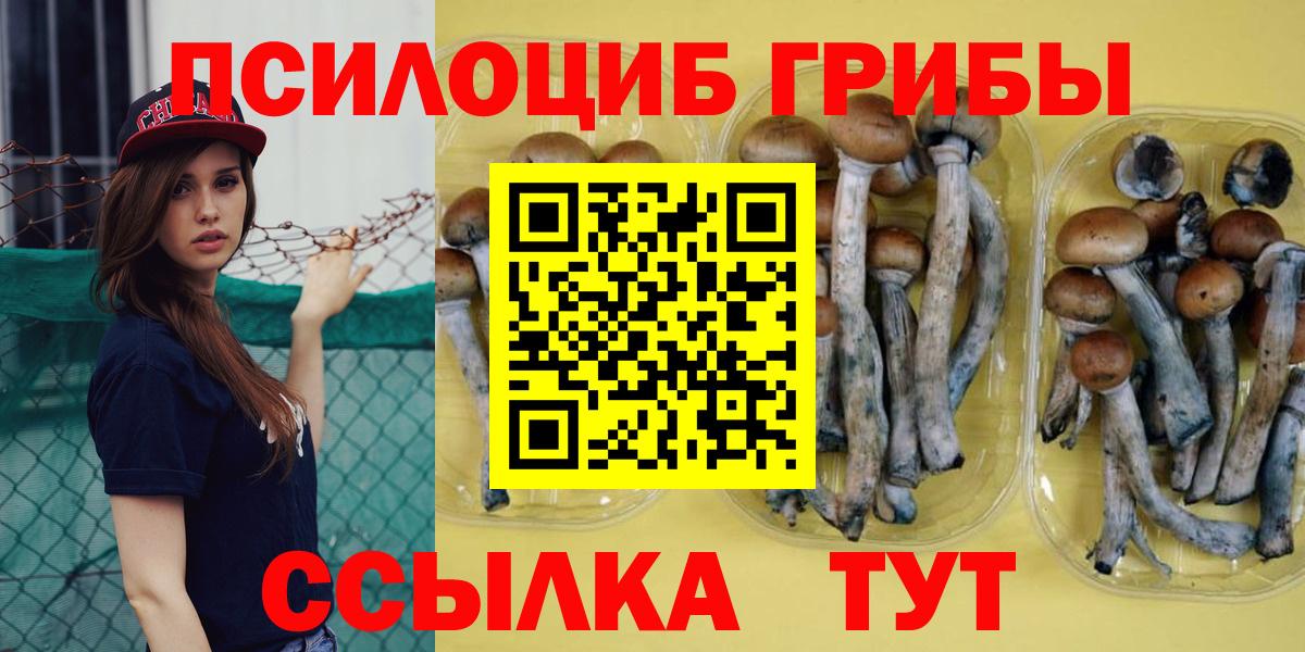 Псилоцибиновые грибы MAGIC MUSHROOMS  купить   Псилоцибиновые грибы мицелий  Краснознаменск  Вход с VPN 