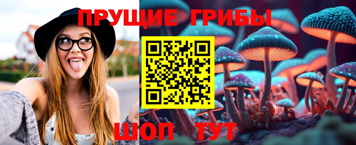Галлюциногенные грибы Psilocybine cubensis Краснознаменск